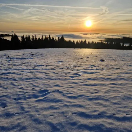 Chata Jeleni Drevenice S Vlastni Virivkou Horni Halze Exterior photo